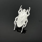 Majestic Beetle Ring