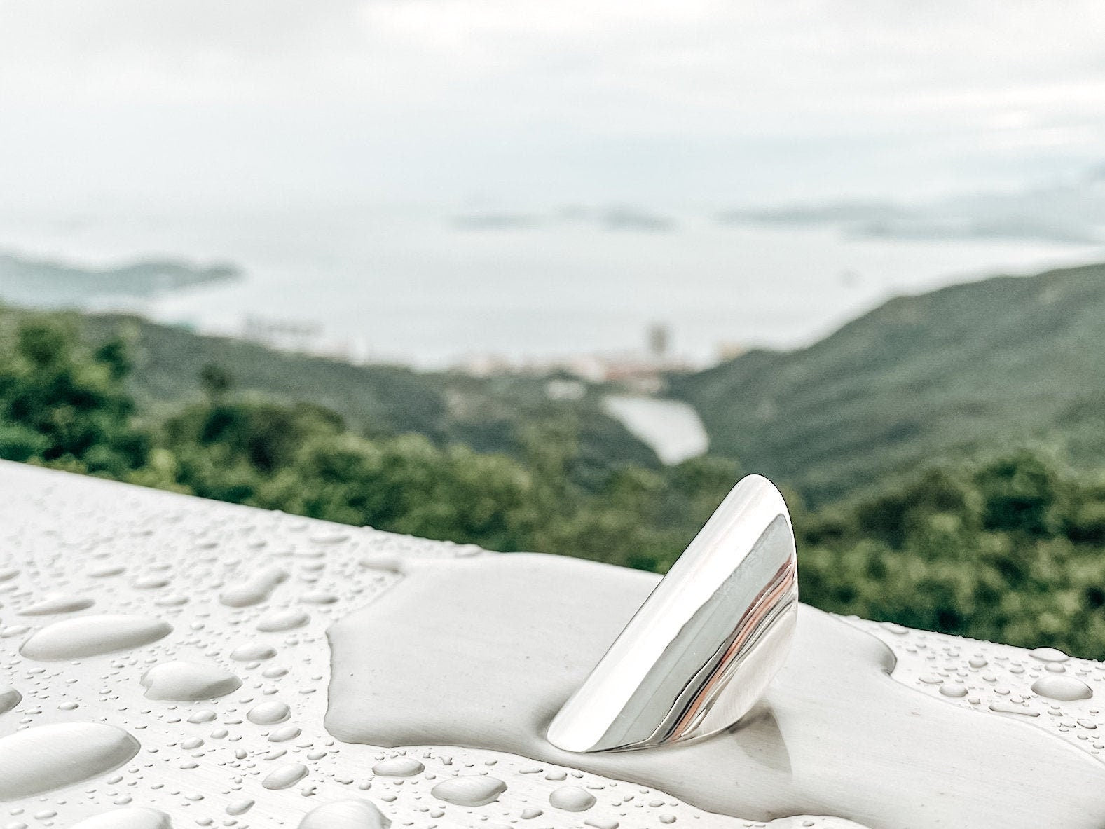 Sterling Silver Armor Shield Ring: Long Statement Ring