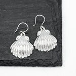May include: A pair of silver earrings shaped like seashells. The earrings are hanging from a black slate surface.