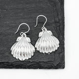 May include: A pair of silver earrings shaped like seashells. The earrings are hanging from a black slate surface.
